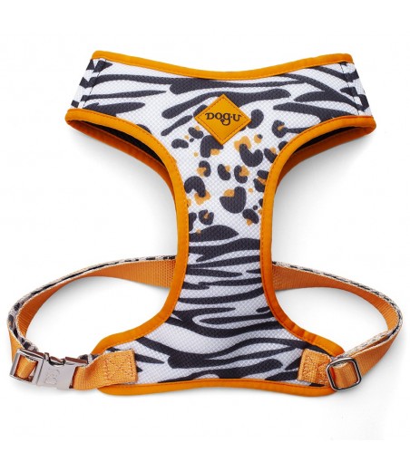 Pechera Bold South Africa