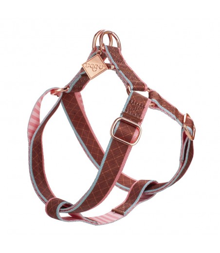 Pechera tradicional Paris