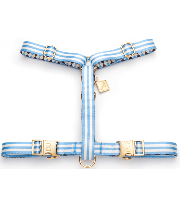 Pechera educativa Samba