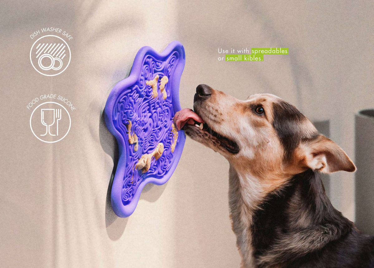 Perro usando un accesorio de enriquecimiento Zee.Dog