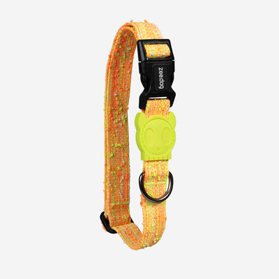 Zee.Dog collar Fuse Bikr — XS