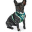 dog.u Pechera Bold Hawaii — vista adicional del modelo