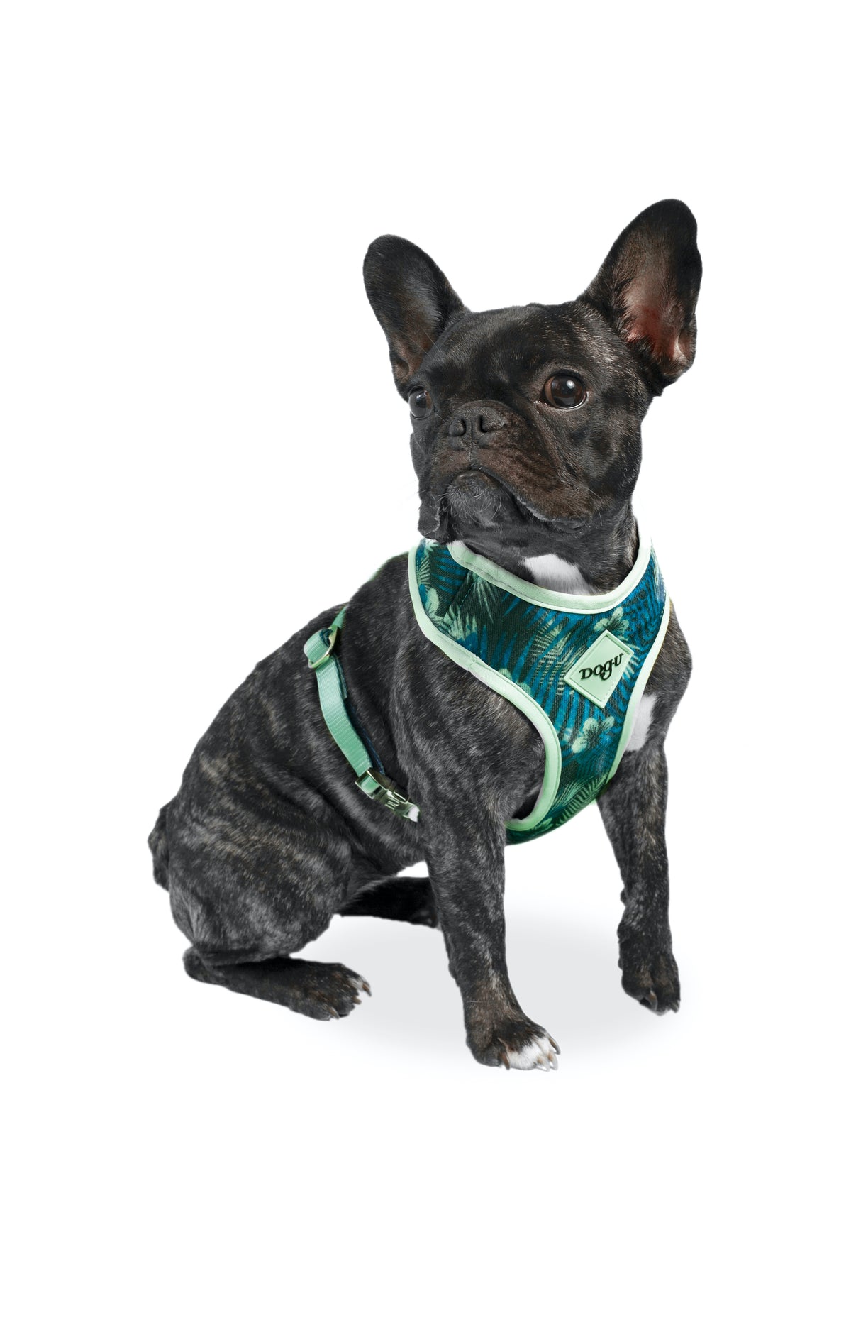 dog.u Pechera Bold Hawaii — vista adicional del modelo