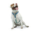 dog.u Pechera educativa Hawaii — vista adicional del modelo
