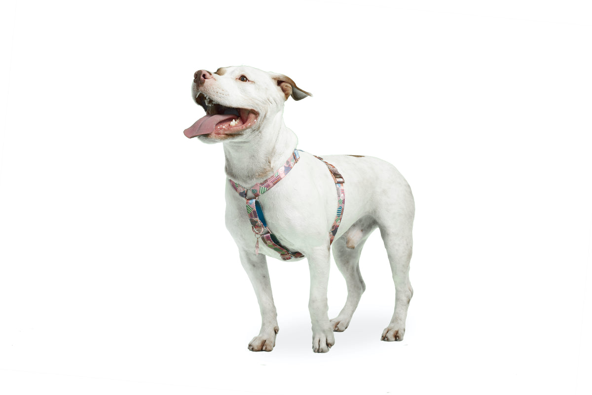 dog.u Pechera educativa Moscow — vista adicional del modelo