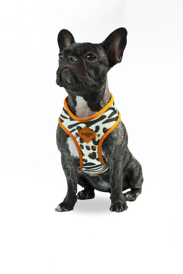dog.u Pechera Bold South Africa — vista adicional del modelo