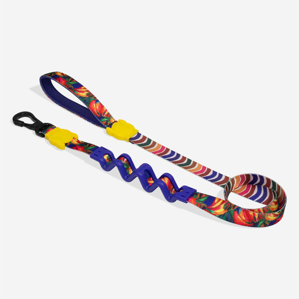Correa Zee.Dog Ruff Leash Farm Rio Samba