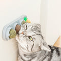 Set con catnip - modelo BA-1303