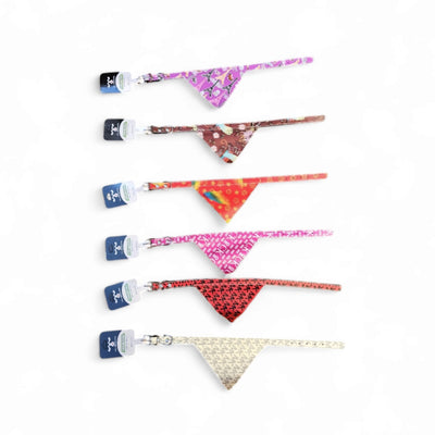 Collar con bandana colorida — talle P — imagen de referencia del modelo