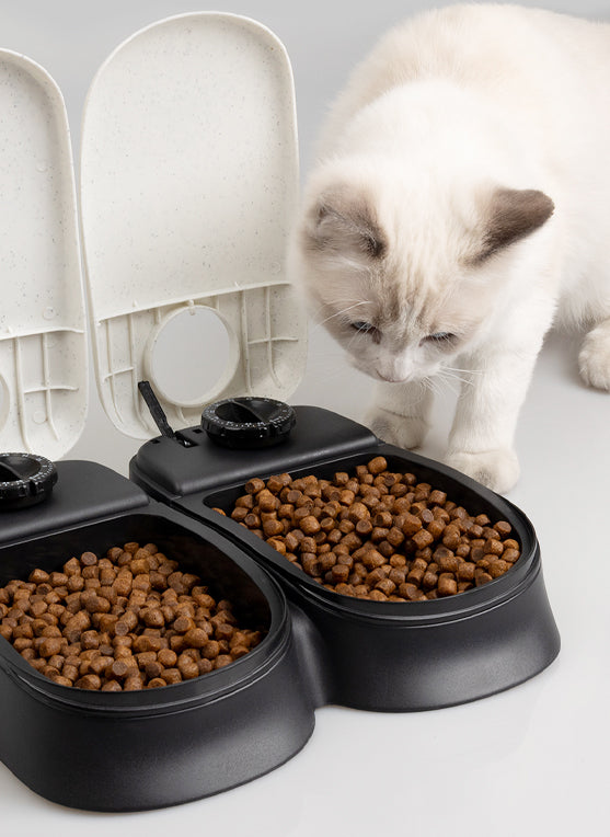 Pawise comedero automático doble con un gato