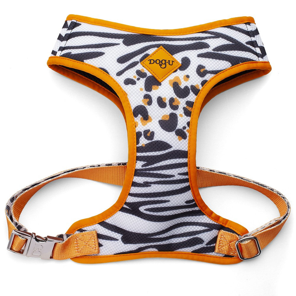 Pechera Bold South Africa