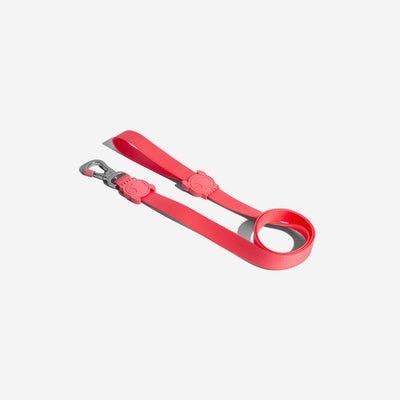 Correa Zee.Dog NeoPro Bubblegum