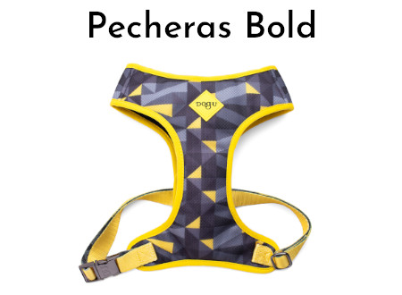 Pecheras Bold
