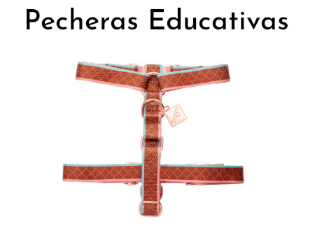 Pecheras Educativas